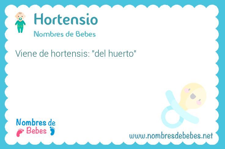 Hortensio
